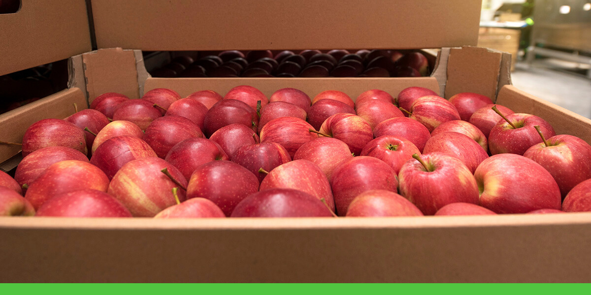 Premium Photo  Harvest of fresh organic red apples in the black boxes