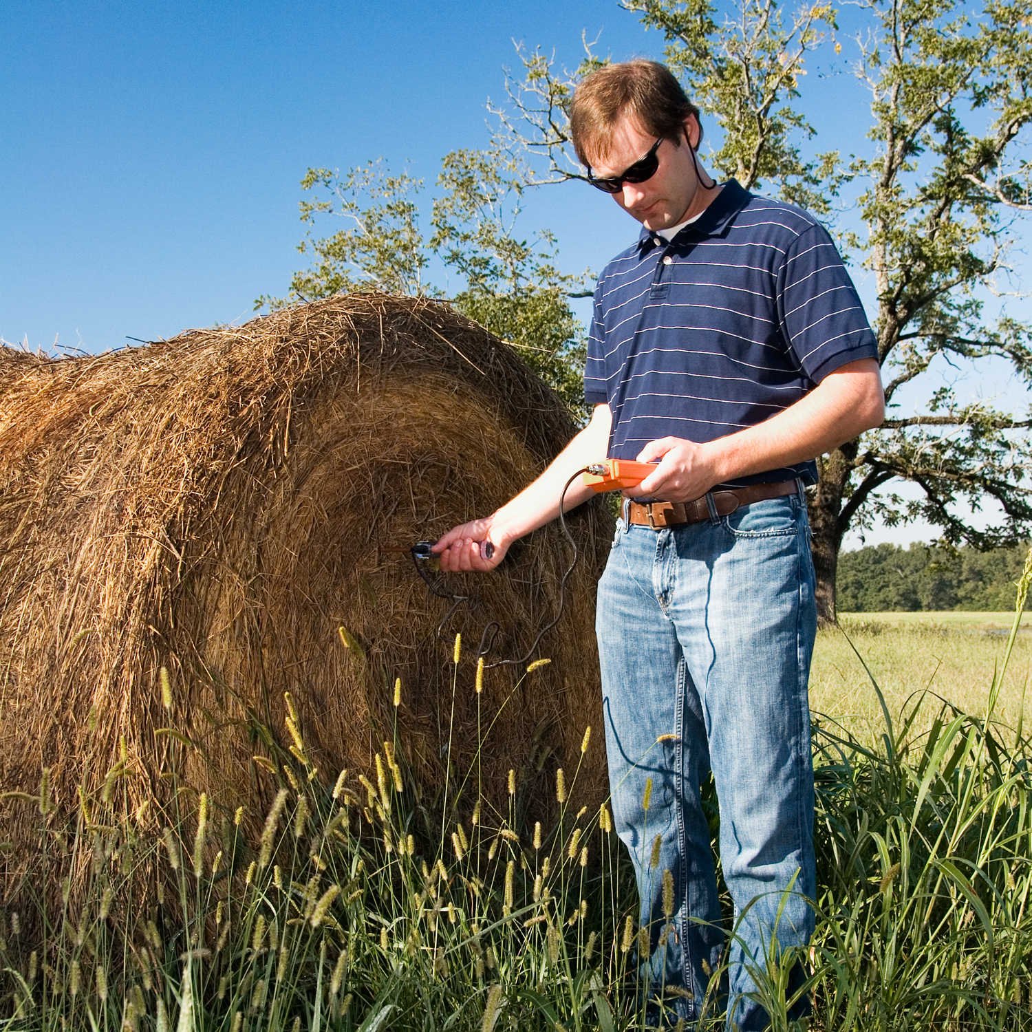 Testing Moisture Levels in Straw Bale House Walls